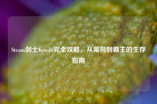 Steam剑士Kenshi完全攻略，从菜鸟到霸主的生存指南