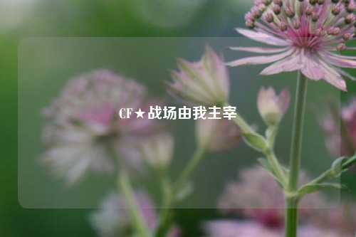 CF★战场由我主宰