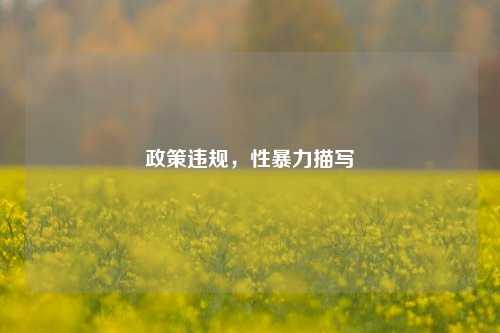 政策违规,性暴力描写