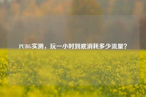 PUBG实测，玩一小时到底消耗多少流量？