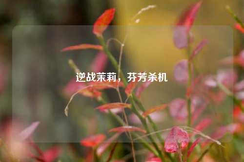 逆战茉莉,芬芳杀机