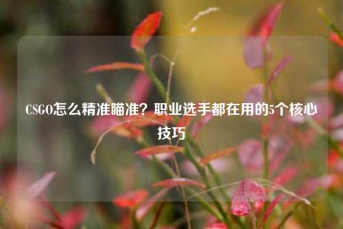 CSGO怎么精准瞄准？职业选手都在用的5个核心技巧