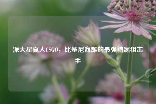 派大星真人CSGO,比基尼海滩的最强躺赢狙击手