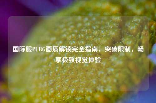 国际服PUBG画质解锁完全指南，突破限制，畅享极致视觉体验
