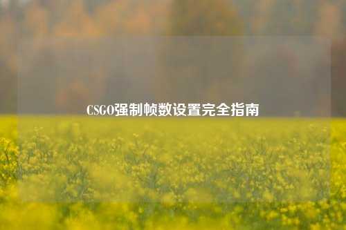 CSGO强制帧数设置完全指南