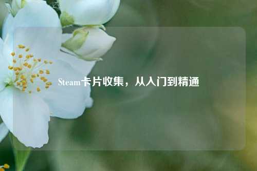 Steam卡片收集,从入门到精通