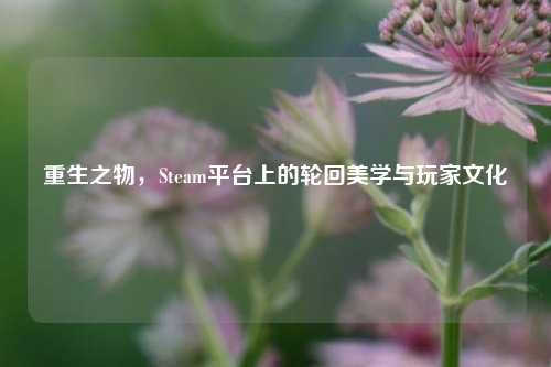 重生之物，Steam平台上的轮回美学与玩家文化