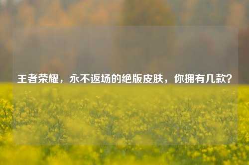 王者荣耀,永不返场的绝版皮肤,你拥有几款?