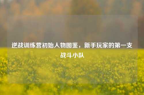 逆战训练营初始人物图鉴,新手玩家的第一支战斗小队