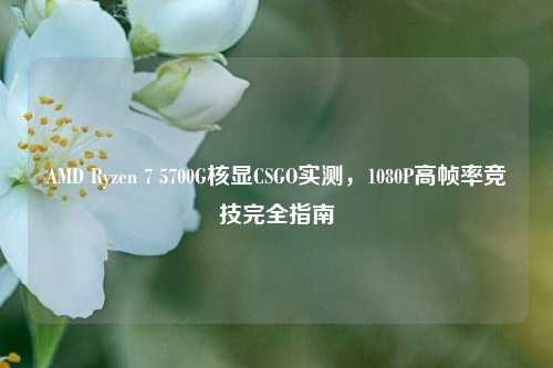 AMD Ryzen 7 5700G核显CSGO实测,1080P高帧率竞技完全指南