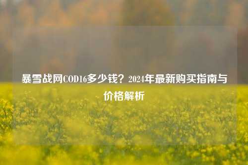 暴雪战网COD16多少钱?2024年最新购买指南与价格解析