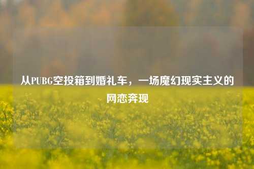 从PUBG空投箱到婚礼车,一场魔幻现实主义的网恋奔现