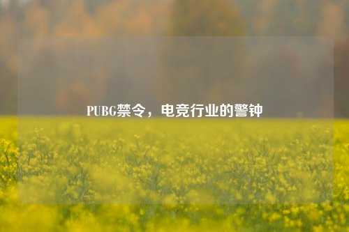 PUBG禁令,电竞行业的警钟