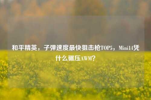 和平精英，子弹速度最快狙击枪TOP5，Mini14凭什么碾压AWM？