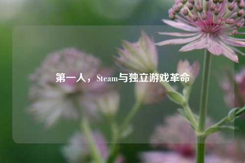 第一人，Steam与独立游戏革命