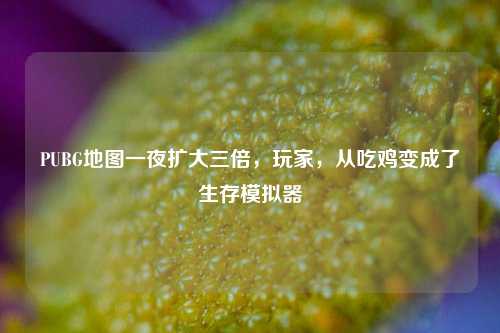 PUBG地图一夜扩大三倍，玩家，从吃鸡变成了生存模拟器