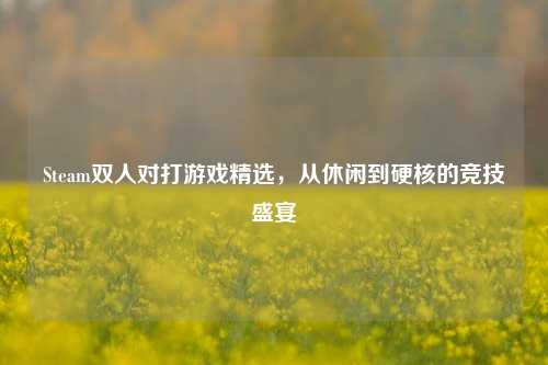 Steam双人对打游戏精选，从休闲到硬核的竞技盛宴