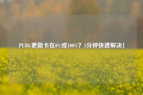 PUBG更新卡在0%或100%？5分钟快速解决！