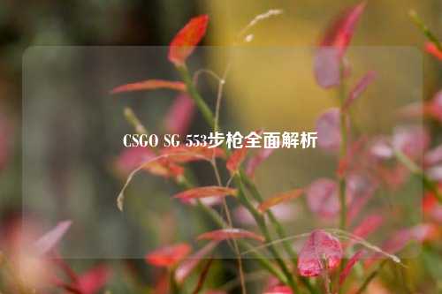 CSGO SG 553步枪全面解析