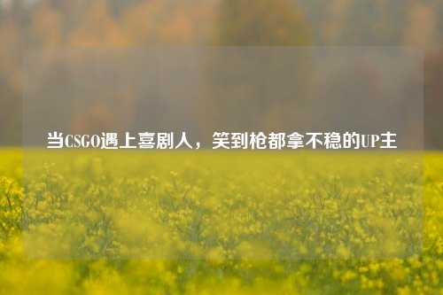 当CSGO遇上喜剧人，笑到枪都拿不稳的UP主