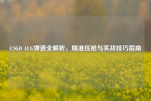 CSGO AUG弹道全解析，精准压枪与实战技巧指南