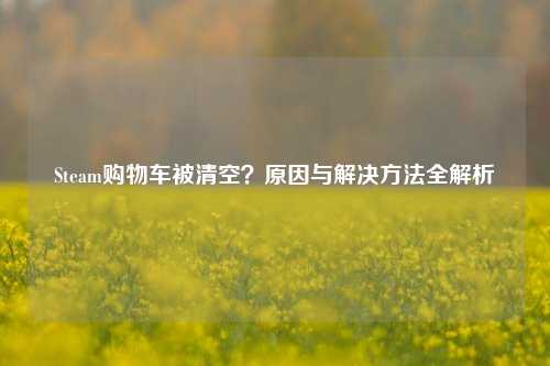 Steam购物车被清空？原因与解决方法全解析