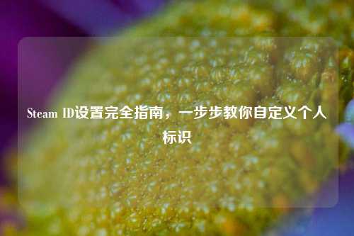 Steam ID设置完全指南，一步步教你自定义个人标识