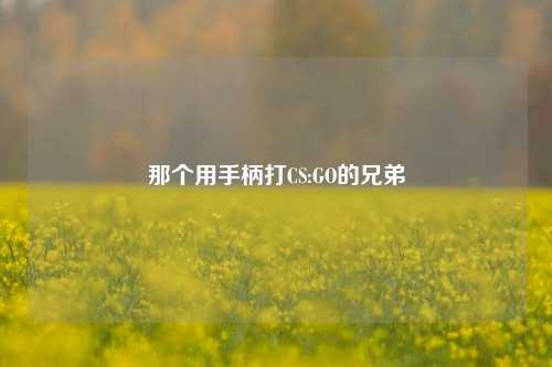 那个用手柄打CS:GO的兄弟