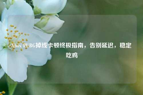 Xbox PUBG掉线卡顿终极指南，告别延迟，稳定吃鸡