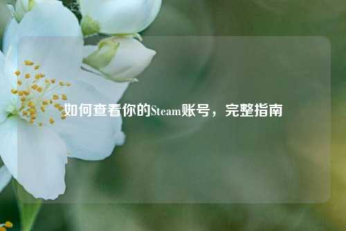 如何查看你的Steam账号，完整指南