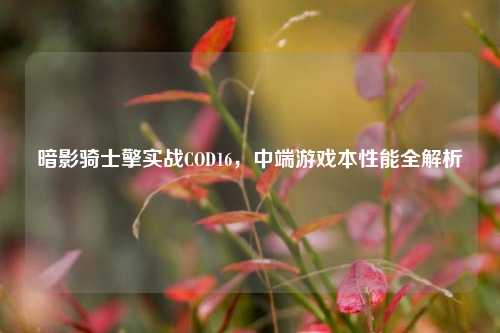 暗影骑士擎实战COD16，中端游戏本性能全解析