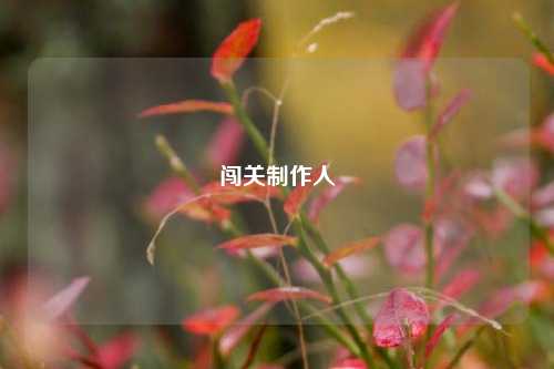 闯关制作人