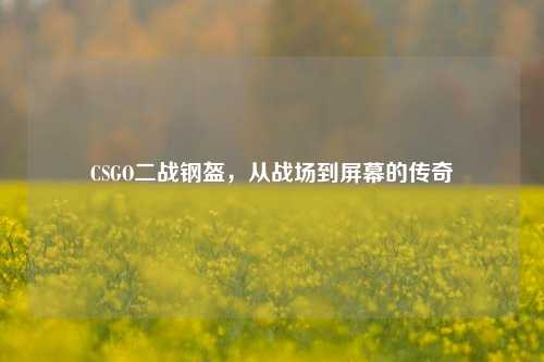 CSGO二战钢盔，从战场到屏幕的传奇