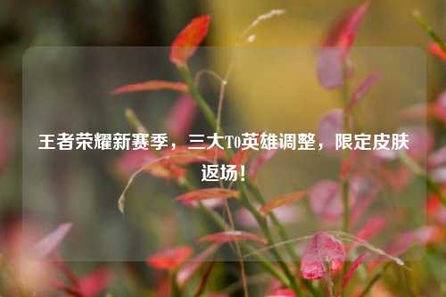 王者荣耀新赛季，三大T0英雄调整，限定皮肤返场！