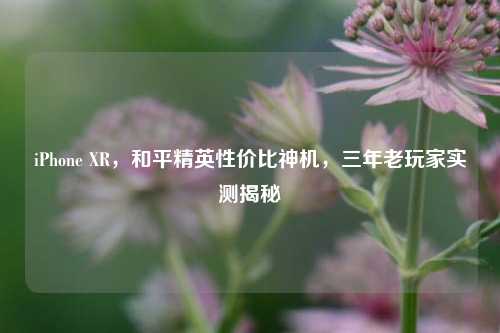 iPhone XR，和平精英性价比神机，三年老玩家实测揭秘
