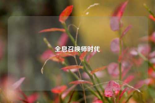 全息召唤师时代