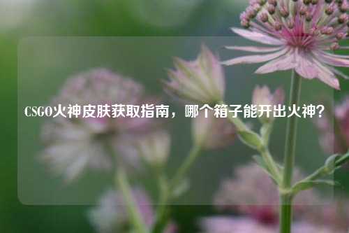 CSGO火神皮肤获取指南,哪个箱子能开出火神?