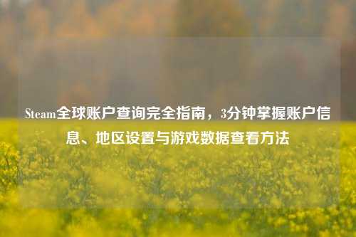 Steam全球账户查询完全指南,3分钟掌握账户信息、地区设置与游戏数据查看方法