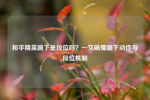 和平精英跪下是段位吗？一文搞懂跪下动作与段位机制