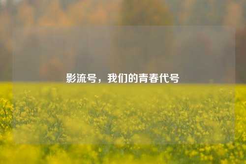 影流号，我们的青春代号