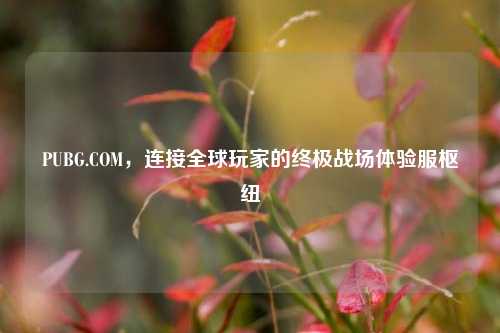 PUBG.COM，连接全球玩家的终极战场体验服枢纽