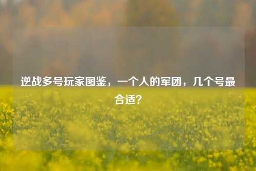 逆战多号玩家图鉴,一个人的军团,几个号最合适?