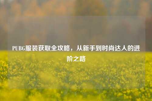 PUBG服装获取全攻略，从新手到时尚达人的进阶之路