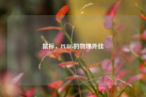 鼠标，PUBG的物理外挂