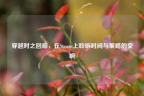 穿越时之回廊，在Steam上聆听时间与策略的交响