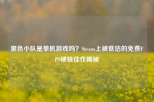 黑色小队是单机游戏吗?Steam上被低估的免费FPS硬核佳作揭秘
