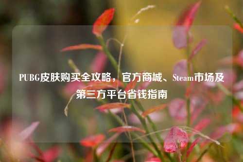 PUBG皮肤购买全攻略，官方商城、Steam市场及第三方平台省钱指南