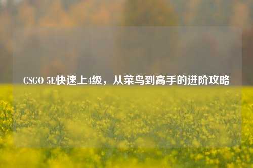 CSGO 5E快速上4级，从菜鸟到高手的进阶攻略