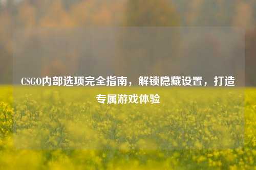 CSGO内部选项完全指南,解锁隐藏设置,打造专属游戏体验