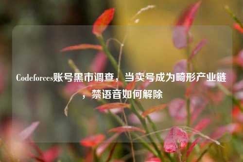 Codeforces账号黑市调查,当卖号成为畸形产业链,禁语音如何解除